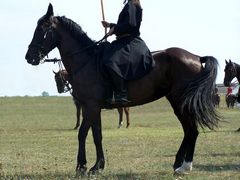 Lovas harcosok / Kämpfer auf dem Pferd / Fighter on the horse - 21